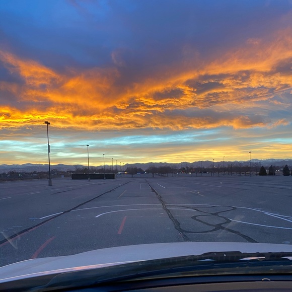 Meet your Posher, Sophia - Picture 1 of 1